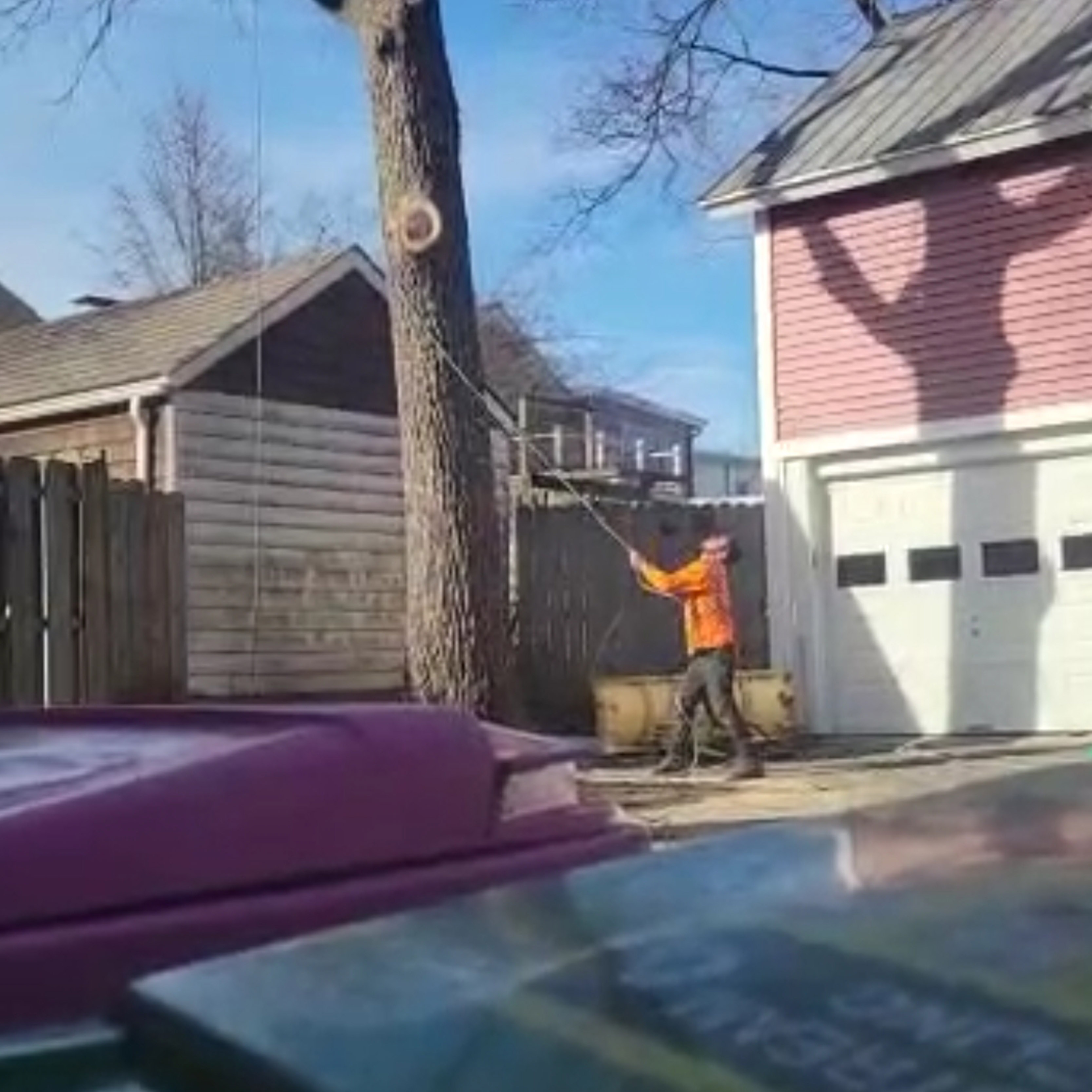 Alex & Son tree service morristown NJ